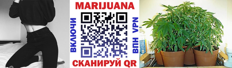 Купить наркотики сайты Кириши СК  МЕФ  Галлюциногенные грибы  Марихуана  АМФЕТАМИН 