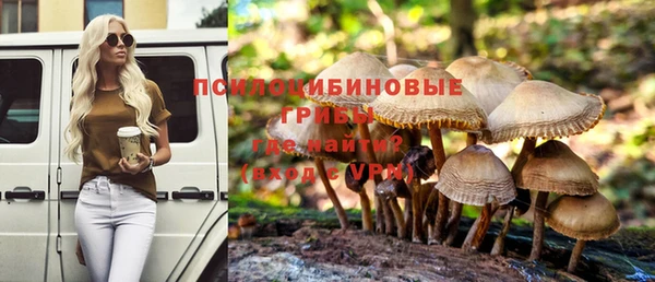 синтетический гашиш Алексеевка