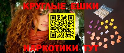 амф Гатчина